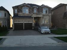 Quiet Bedroom for Rent in Modern NE Oakville Home (Traf/Dundas) - Photo 10