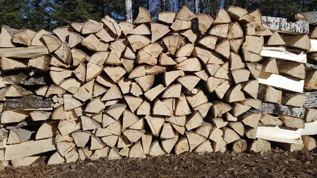 Bois de camping et bois de chauffage !