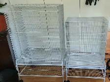 14 PINSONS MANDARIN À VENDRE NE SONT PAS À DONNER - Photo 9
