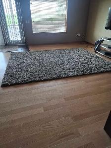 Large plush area rug