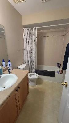 Rental Room: 5-Bedroom House Near Fleming and Seneca - Photo 7
