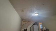 Rental Room: 5-Bedroom House Near Fleming and Seneca - Photo 8