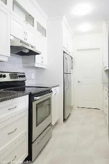Beau Condo 1 chambre, semi-meublé Plateau,devant Parc Lafontaine - Photo 3