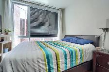 Beau Condo 1 chambre, semi-meublé Plateau,devant Parc Lafontaine - Photo 6