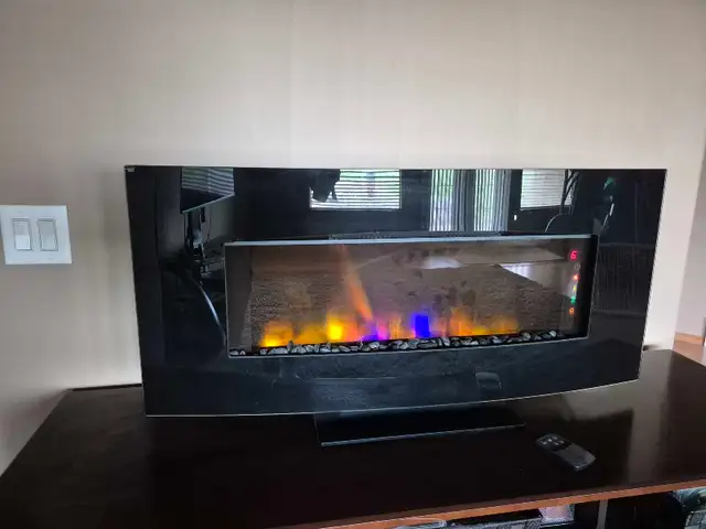 Electric Fire place