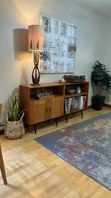 Mid century. TEAK TECK meubles. Buffet, bibliothèque, bahut disq