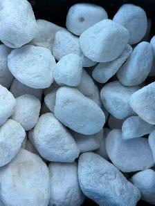 WHITE PEBBLES