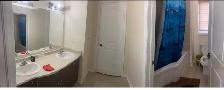 one furnished room available for rent in Brampton - Photo 3