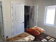 one furnished room available for rent in Brampton - Photo 5