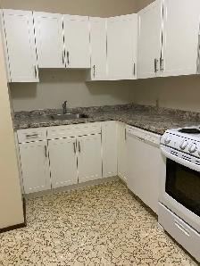 1 bedroom apartment for rent. $1,160 a month all inclusive - Photo 5