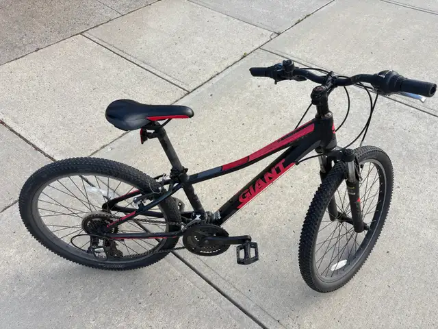 Giant Aluxx XTC jr 24" Mountain Bike