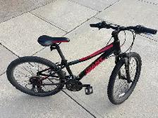 Giant Aluxx XTC jr 24" Mountain Bike