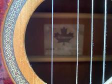 Guitar ( Norman 20 ) - Photo 3