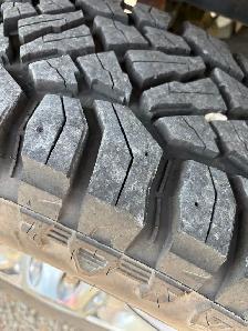 2008 F350 Harley Davidson edition - Photo 10