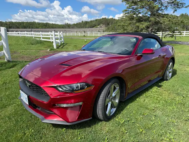 2019 Ford Mustang Convertible