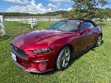 2019 Ford Mustang Convertible
