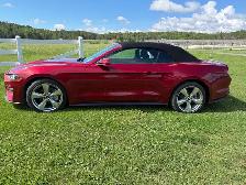2019 Ford Mustang Convertible - Photo 2