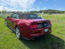 2019 Ford Mustang Convertible - Photo 3