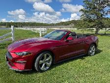 2019 Ford Mustang Convertible - Photo 4