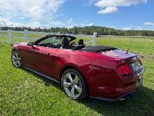 2019 Ford Mustang Convertible - Photo 5