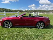 2019 Ford Mustang Convertible - Photo 6