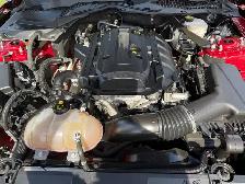 2019 Ford Mustang Convertible - Photo 7