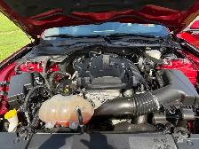 2019 Ford Mustang Convertible - Photo 8