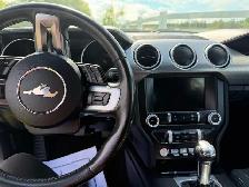 2019 Ford Mustang Convertible - Photo 10