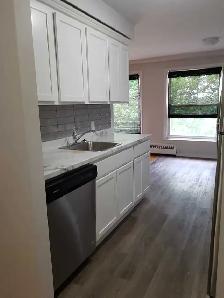xLarge 1 Bedroom apartment