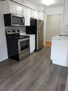 xLarge 1 Bedroom apartment - Photo 2