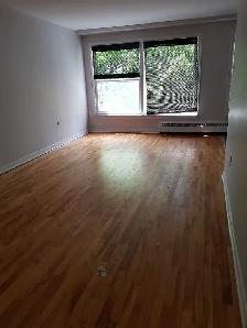 xLarge 1 Bedroom apartment - Photo 4