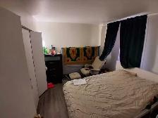 logement 3.5 Montréal métro berri - Photo 2