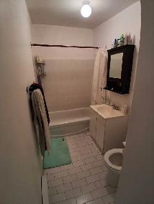 logement 3.5 Montréal métro berri - Photo 3
