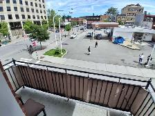 logement 3.5 Montréal métro berri - Photo 6