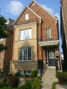 York University Village Room for Rent