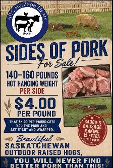 Sides of pork