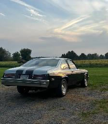 1977 Pontiac Ventura - Photo 2