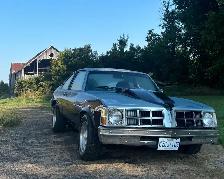 1977 Pontiac Ventura - Photo 3