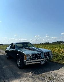 1977 Pontiac Ventura - Photo 4