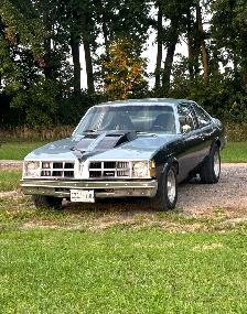 1977 Pontiac Ventura - Photo 6