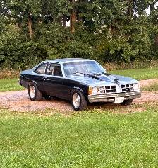 1977 Pontiac Ventura - Photo 7