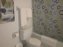 GRAND 4 1/2 SECTEUR NORD, (ASCENSEUR) - Photo 10