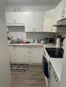 4-1/2 rénové à Louer: $1675/m disponible 1er Juillet: Longueuil - Photo 8