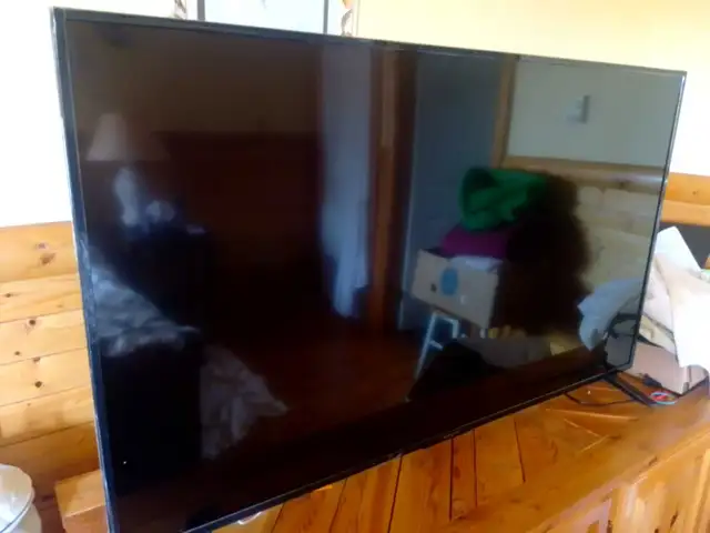 Westinghouse 55 inch TV