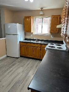 Large 3-bedroom apartment - non-smoking - Photo 3