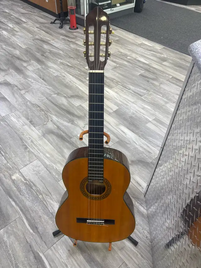 Goya Medalist Series M-20 Classical Acoustic