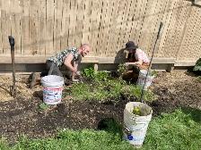 Gardener Helper Wanted! Edmonton Area - Photo 2