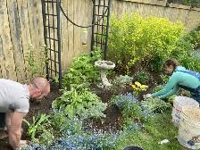 Gardener Helper Wanted! Edmonton Area - Photo 3