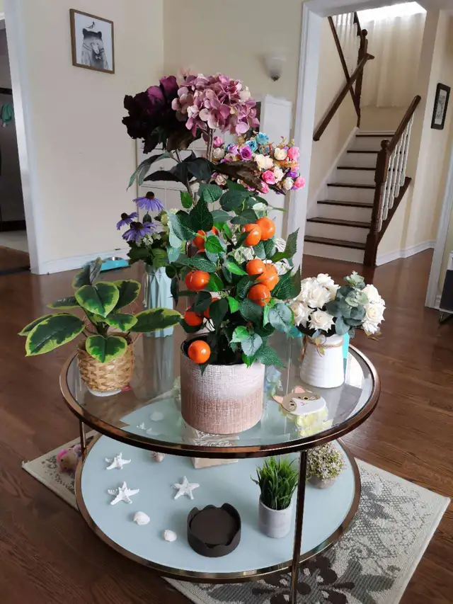 3Sunny Room near YorkUniversity in NY bathurst/Ste  rent  female
