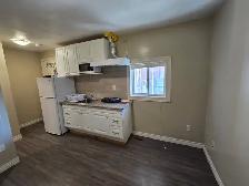 Studio/Bachelor Apartment For Rent - Neilson Rd. & Finch Ave. E. - Photo 8